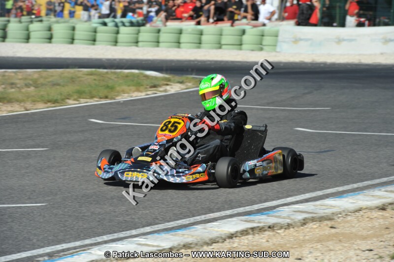 DSC (2506).JPG